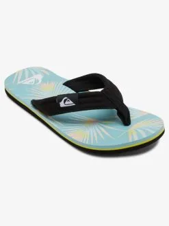 Quiksilver Molokai Layback - Tongs Pour Homme