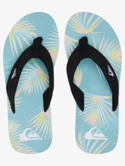 Quiksilver Molokai Layback - Tongs Pour Homme -Surf Soldes aqyl101241 quiksilverp byj2 frt4