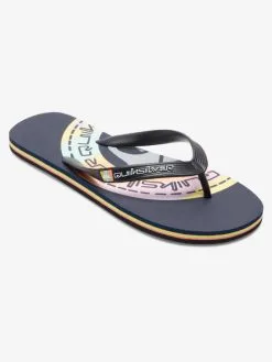 Quiksilver Molokai Art Gregg Kaplan - Tongs Pour Homme