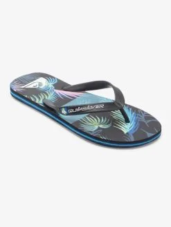 Quiksilver Molokai Art Gregg Kaplan - Tongs Pour Homme