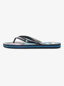 Quiksilver Molokai Art Gregg Kaplan - Tongs Pour Homme -Surf Soldes aqyl101264 quiksilverp xkkb frt3