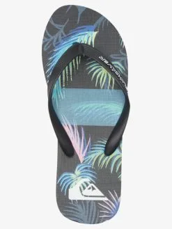 Quiksilver Molokai Art Gregg Kaplan - Tongs Pour Homme -Surf Soldes aqyl101264 quiksilverp xkkb frt4