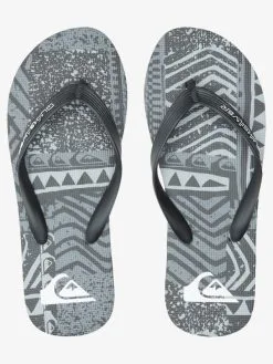 Quiksilver Molokai Art Gregg Kaplan - Tongs Pour Homme -Surf Soldes aqyl101264 quiksilverp xkks frt4