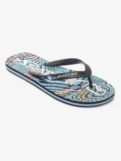 Quiksilver Molokai Art Gregg Kaplan - Tongs Pour Homme