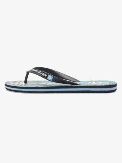 Quiksilver Molokai Art Gregg Kaplan - Tongs Pour Homme -Surf Soldes aqyl101264 quiksilverp xkmb frt3