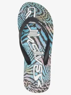 Quiksilver Molokai Art Gregg Kaplan - Tongs Pour Homme -Surf Soldes aqyl101264 quiksilverp xkmb frt4
