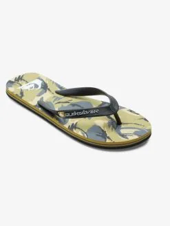 Quiksilver Molokai Art Gregg Kaplan - Tongs Pour Homme