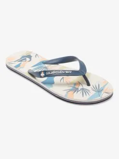 Quiksilver Molokai Art Gregg Kaplan - Tongs Pour Homme