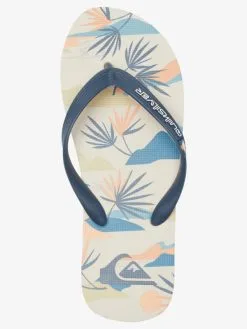 Quiksilver Molokai Art Gregg Kaplan - Tongs Pour Homme -Surf Soldes aqyl101264 quiksilverp xkwb frt4