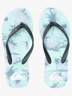 Quiksilver Molokai Air Flow - Tongs Pour Homme -Surf Soldes aqyl101318 quiksilverp xkgs frt4
