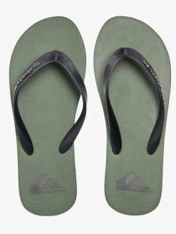 Quiksilver Molokai Core - Tongs Pour Homme -Surf Soldes aqyl101325 quiksilverp gvj1 frt4