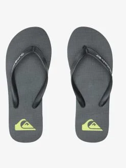 Quiksilver Molokai Core - Tongs Pour Homme -Surf Soldes aqyl101325 quiksilverp kvj2 frt4