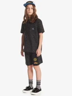 Quiksilver Surfsilk Radical Arch 16" - Boardshort Pour Garçon 8-16 Ans -Surf Soldes eqbbs03658 quiksilverw kvj6 frt9