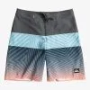 Quiksilver Everyday Panel 16" - Boardshort Pour Garçon 8-16 Ans