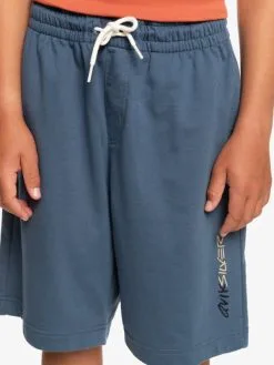 Quiksilver Retro Fade - Short En Molleton Pour Garçon 8-16 Ans -Surf Soldes eqbfb03141 quiksilverw byg0 frt3