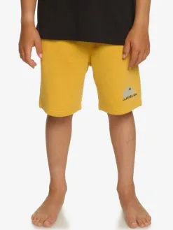Quiksilver Easy Day - Short De Jogging Pour Garçon 8-16 Ans -Surf Soldes eqbfb03144 quiksilverw ykd0 frt1