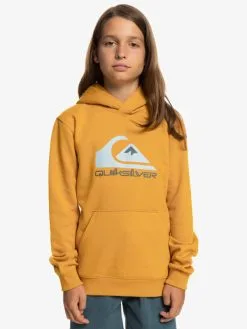 Quiksilver Big Logo - Sweat à Capuche Pour Garçon