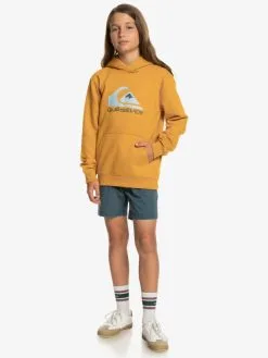 Quiksilver Big Logo - Sweat à Capuche Pour Garçon -Surf Soldes eqbft03720 quiksilverw ykd0 frt9