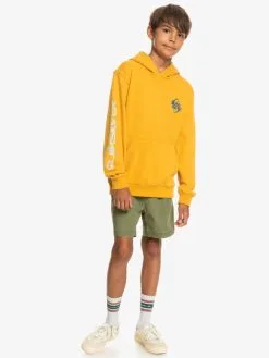 Quiksilver Colour Flow - Sweat à Capuche Pour Garçon 8-16 Ans -Surf Soldes eqbft03820 quiksilverw ykd0 frt9