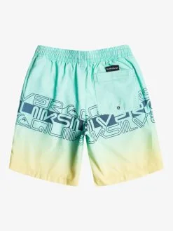 Quiksilver Everyday Wordblock 16" - Short De Bain Pour Garçon 8-16 Ans -Surf Soldes eqbjv03434 quiksilverf gcz6 bck1