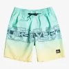 Quiksilver Everyday Wordblock 16" - Short De Bain Pour Garçon 8-16 Ans