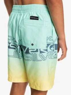 Quiksilver Everyday Wordblock 16" - Short De Bain Pour Garçon 8-16 Ans -Surf Soldes eqbjv03434 quiksilverw gcz6 bck2