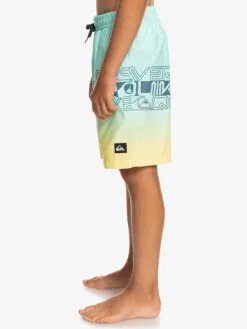 Quiksilver Everyday Wordblock 16" - Short De Bain Pour Garçon 8-16 Ans -Surf Soldes eqbjv03434 quiksilverw gcz6 frt2