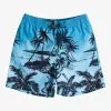 Quiksilver Everyday Paradise 14" - Short De Bain Pour Garçon 8-16 Ans