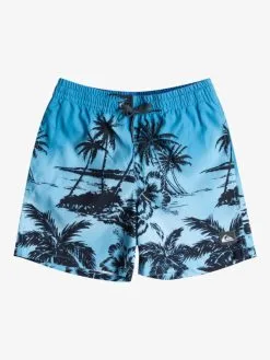 Quiksilver Everyday Paradise 14" - Short De Bain Pour Garçon 8-16 Ans