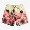 Quiksilver Everyday Paradise 14" - Short De Bain Pour Garçon 8-16 Ans