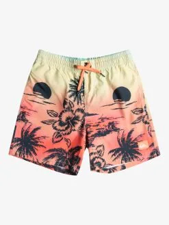 Quiksilver Everyday Paradise 14" - Short De Bain Pour Garçon 8-16 Ans