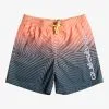 Quiksilver Everyday Warped Logo 14" - Short De Bain Pour Garçon 8-16 Ans