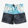 Quiksilver Butt Logo 14" - Short De Bain Pour Garçon 8-16 Ans