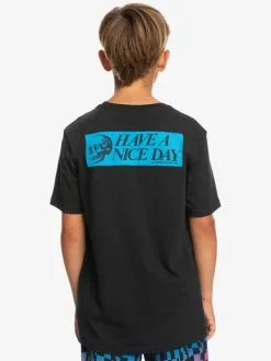 Quiksilver Nice Days - T-shirt Pour Garçon 8-16 Ans -Surf Soldes eqbzt04586 quiksilverw kvj0 bck1