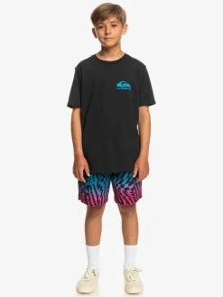 Quiksilver Nice Days - T-shirt Pour Garçon 8-16 Ans -Surf Soldes eqbzt04586 quiksilverw kvj0 frt9