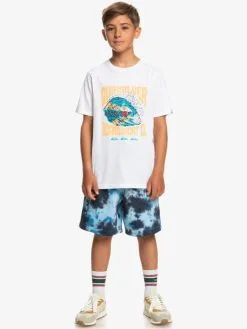 Quiksilver Higher Life - T-shirt Pour Garçon 8-16 Ans -Surf Soldes eqbzt04599 quiksilverw wbb0 frt9