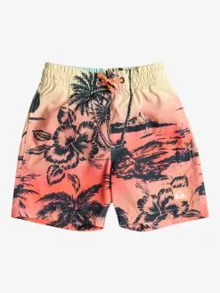 Quiksilver Everyday Paradise 13" - Short De Bain Pour Garçon 2-7