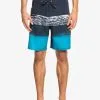 Quiksilver Surfsilk Panel 18" - Boardshort Pour Homme