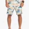 Quiksilver Highlite Scallop 19" - Boardshort Pour Homme