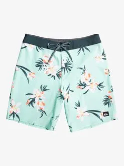 Quiksilver Surfsilk QS 69 19" - Boardshort Pour Homme -Surf Soldes eqybs04773 quiksilverf gcz6 frt1