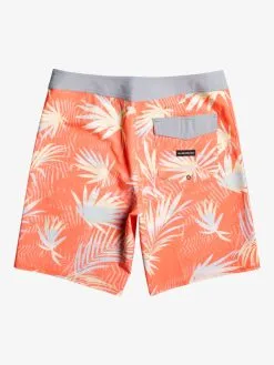 Quiksilver Surfsilk QS 69 19" - Boardshort Pour Homme -Surf Soldes eqybs04773 quiksilverf mhv6 bck1