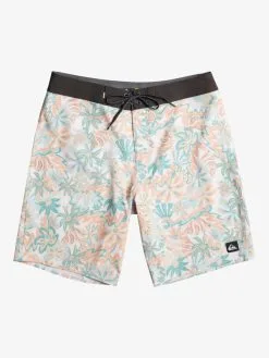 Quiksilver Surfsilk QS 69 19" - Boardshort Pour Homme -Surf Soldes eqybs04773 quiksilverf wdw6 frt1