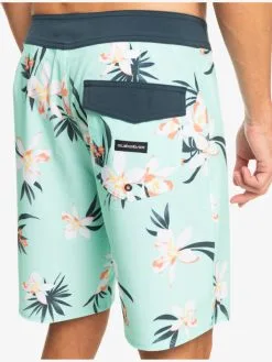 Quiksilver Surfsilk QS 69 19" - Boardshort Pour Homme -Surf Soldes eqybs04773 quiksilverw gcz6 bck2