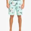 Quiksilver Surfsilk QS 69 19" - Boardshort Pour Homme