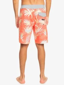 Quiksilver Surfsilk QS 69 19" - Boardshort Pour Homme -Surf Soldes eqybs04773 quiksilverw mhv6 bck1