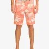 Quiksilver Surfsilk QS 69 19" - Boardshort Pour Homme