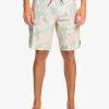 Quiksilver Surfsilk QS 69 19" - Boardshort Pour Homme