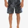 Quiksilver Surfsilk Arch 18" - Boardshort Pour Homme