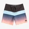 Quiksilver Surfsilk Panel 18" - Boardshort Pour Homme
