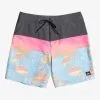 Quiksilver Surfsilk Panel 18" - Boardshort Pour Homme